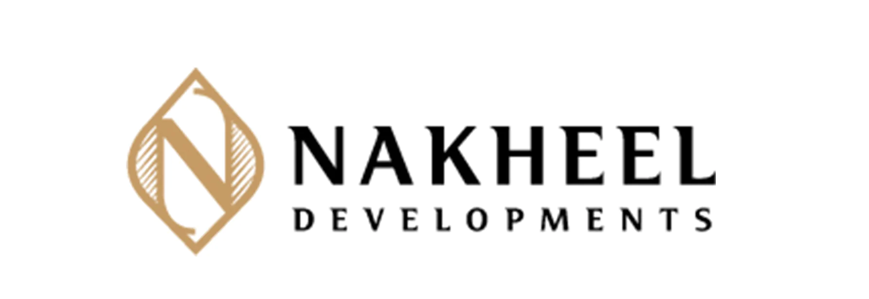 Developers-7